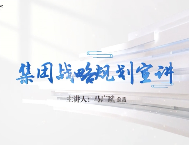 马广斌总裁关于15VIP太阳集团战术的汇报