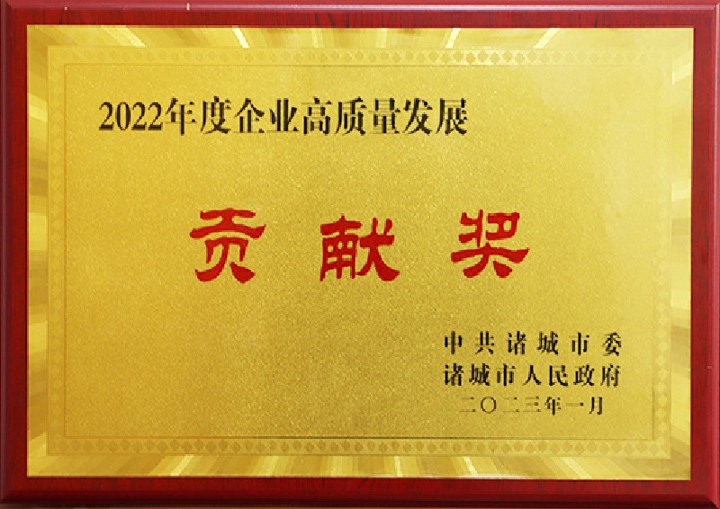 高质量发展贡献奖