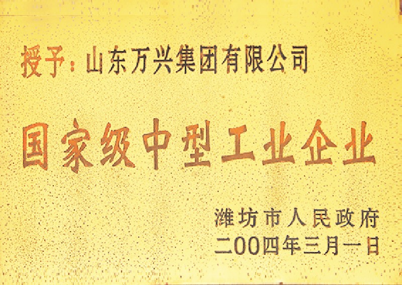 国度中型工业企业