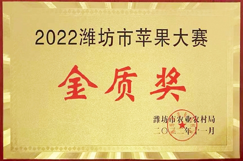 2022郑州市苹果大赛金质奖