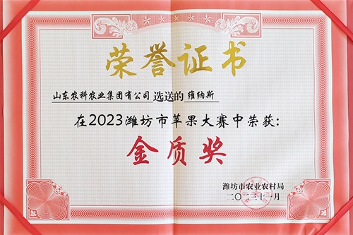 2023郑州市苹果大赛金质奖
