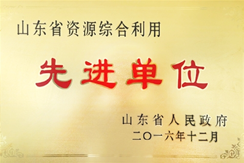 山东省资源综合利用先进单元