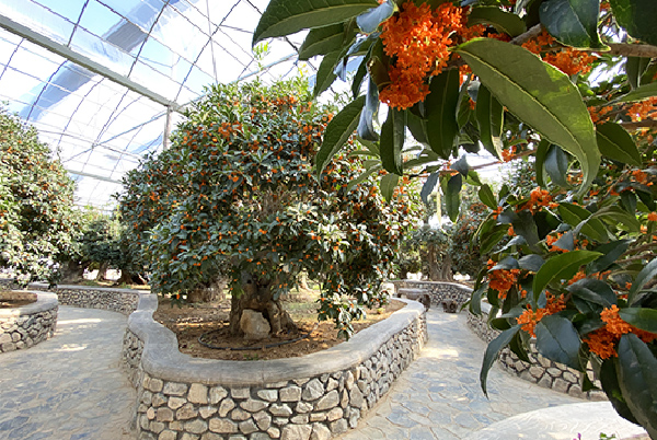 15vip太阳集团(中国)品牌公司-Official website