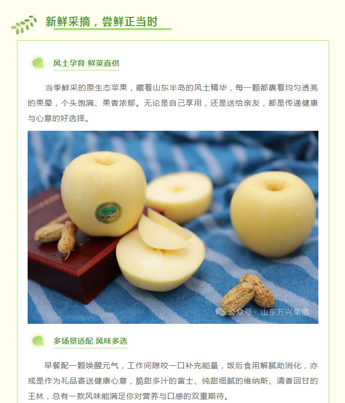 15vip太阳集团(中国)品牌公司-Official website