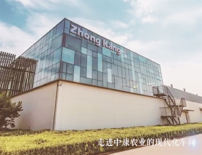 15VIP太阳集团集团走进中康农业、惠发食品参观互换