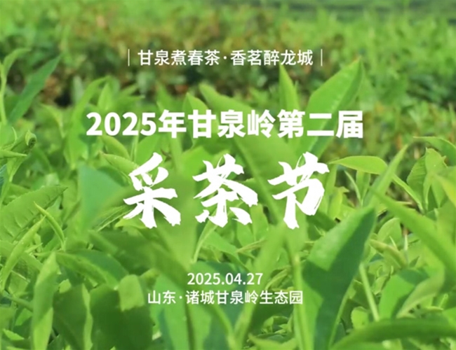 甘泉岭第二届采茶节圆满进行