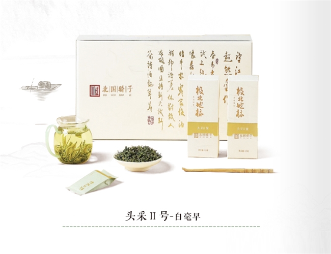 头采Ⅱ号-白毫早