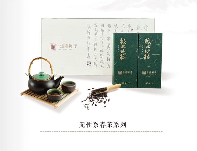 无性系春茶系列