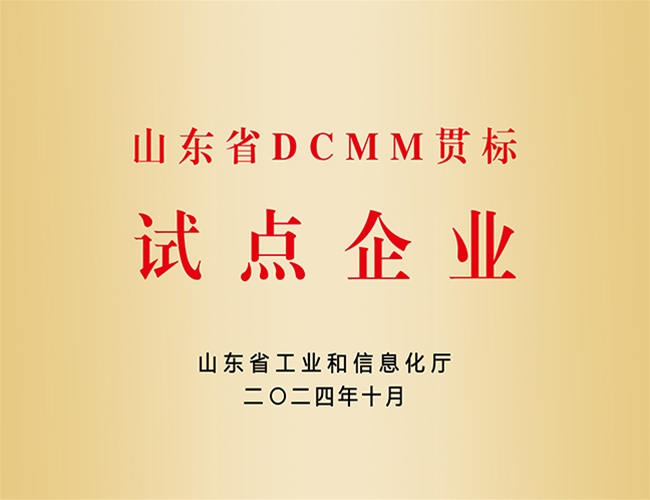 DCMM试点企业