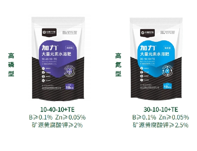 加力-大量元素水溶肥