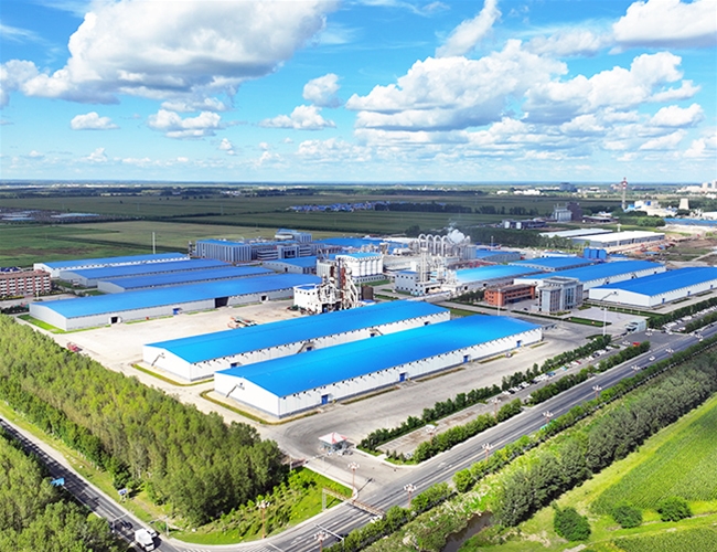 黑龙江省100万吨年玉米综合深加工项目