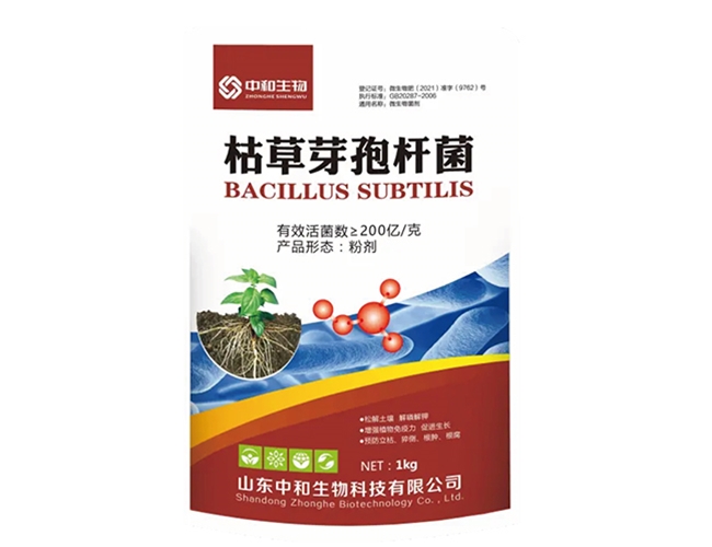 枯草芽孢杆菌