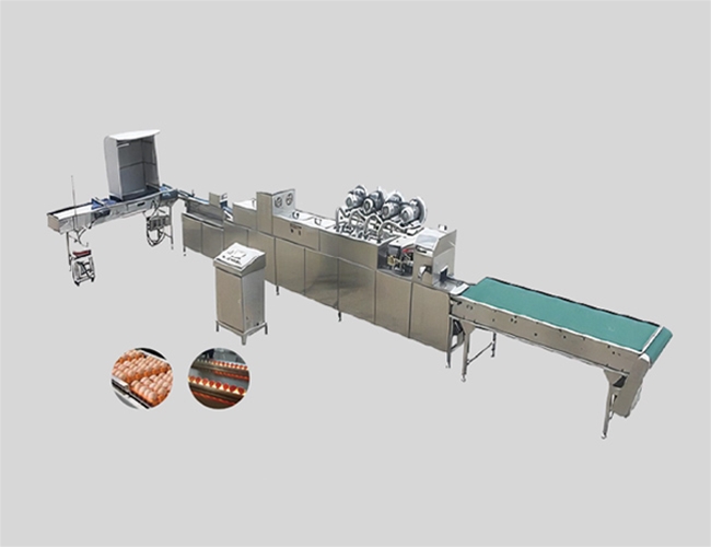 保洁蛋烘干流水线